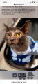 Lykoi SHALNAVAZZ GEORGES HARRISON Lykoi SHALNAVAZZ GEORGES HARRISON